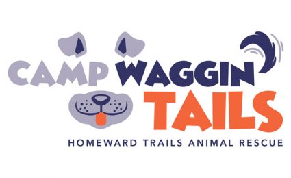 Get Involved - Homeward Trails Animal Rescue | Pet Adoption in VA, DC, MD